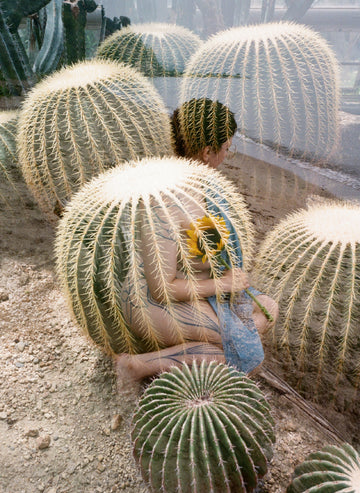 Double Exposure: Cacti