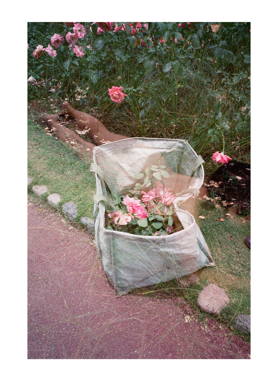 Double Exposure: Bag of Roses