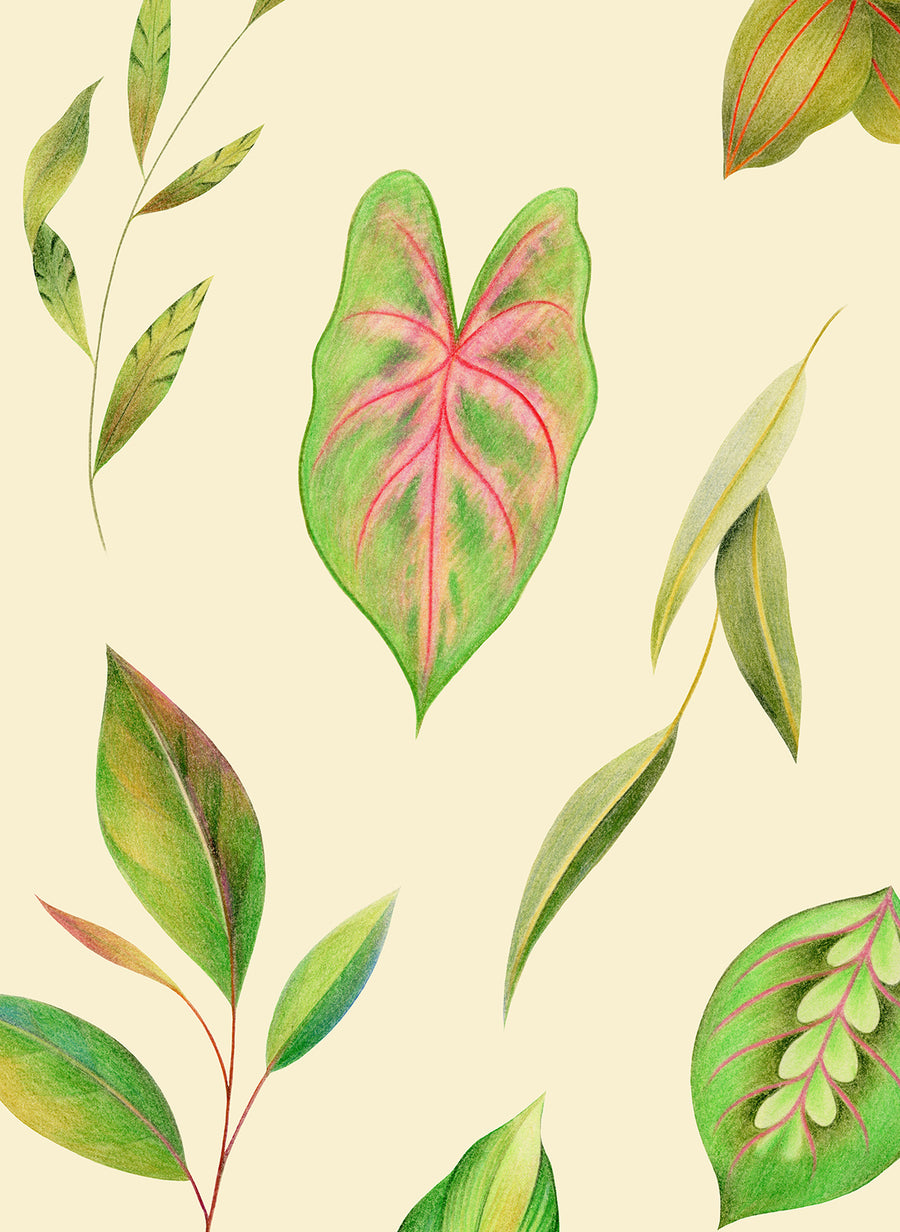 Botanical: Leaf Collection